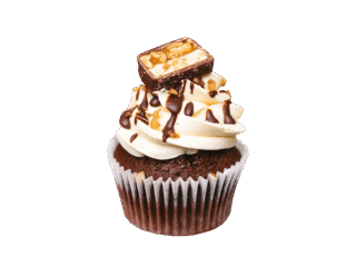 Chocolate Christmas holly and berries cupcake